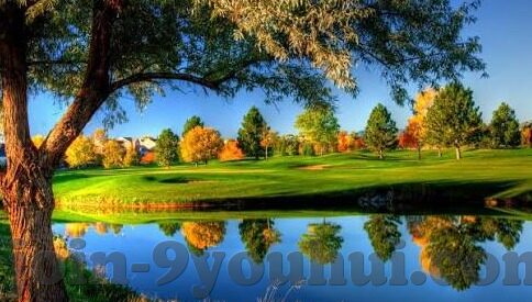 今天英超的足球比分-英超烽火再燃，今日赛果全解析与联赛格局深度洞察