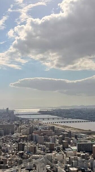 美职业足球比分-美职业足球比分，激情与悬念交织的绿茵战场